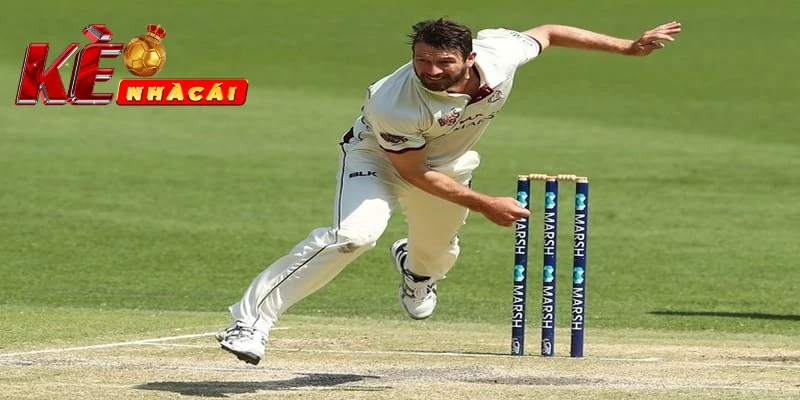 Một số thể loại Cricket hiện nay