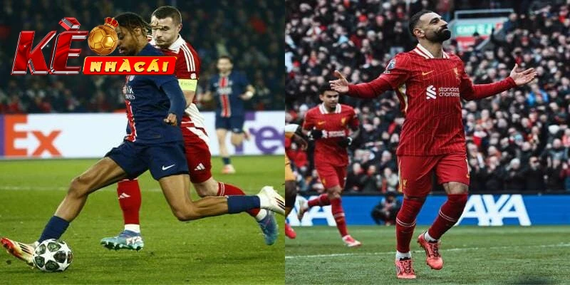 Kỹ năng đọc bảng tỷ lệ kèo cup C1